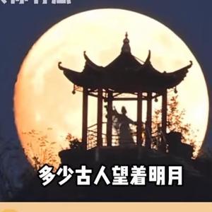 养老金未认证停发追回